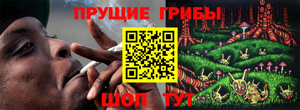 Галлюциногенные грибы MAGIC MUSHROOMS Грязи